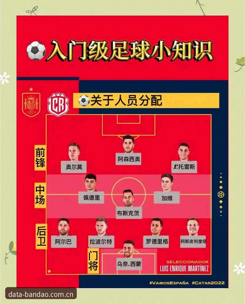 半岛体育平台使用指南：从数据获取到赛事分析的完整新手教程
